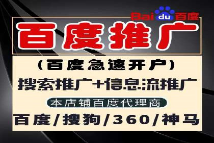 百度竞价排名实战：某行业领先企业的成功之路